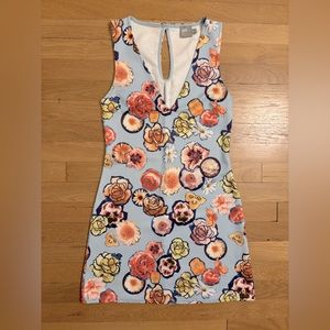 Blue Floral V-neck Dress